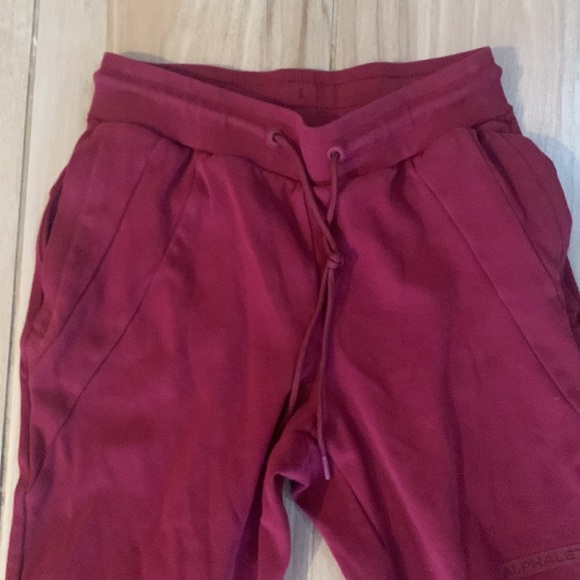 Alphalete Red Sweatpants - Picture 2 of 13